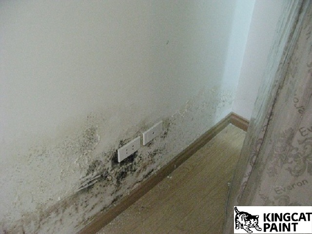 Có rất nhiều nguyên nhân dẫn đến chân tường nhà bị thấm nước