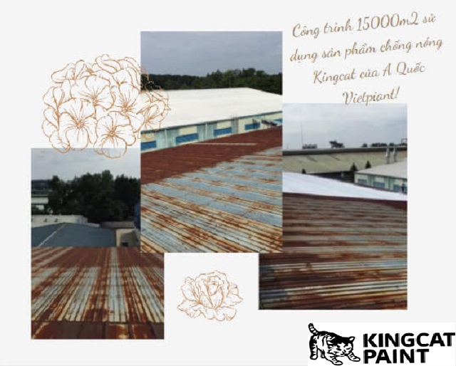 quá trình thi công sơn chống nóng mái tôn của công trình 15000m2  A Quốc Vietpiant 