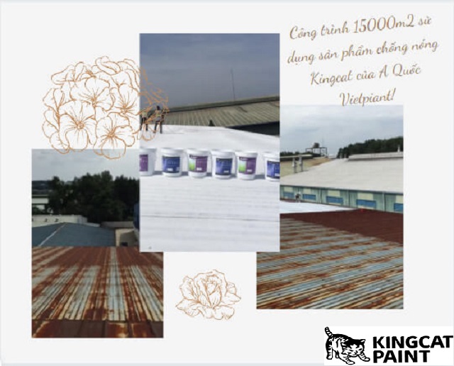 quá trình thi công sơn chống nóng mái tôn của công trình 15000m2  A Quốc Vietpiant 