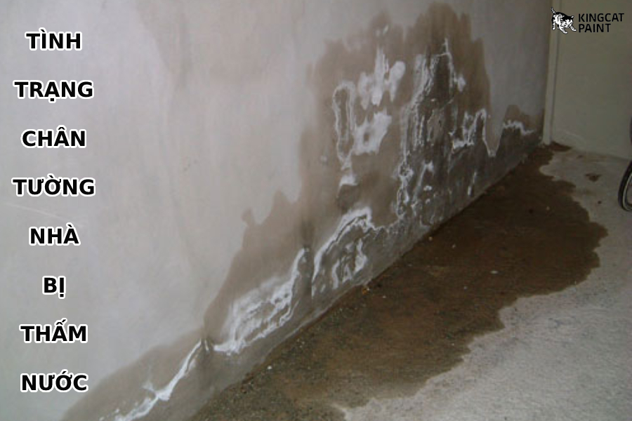 Tình trạng chân tường nhà bị thấm nước gây mất thẩm mỹ