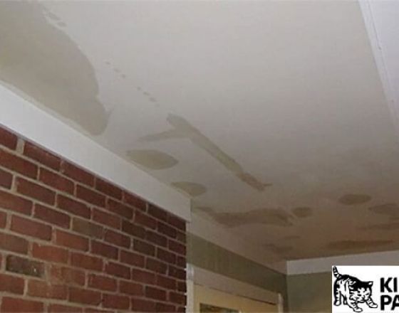 Cách chống thấm cho trần nhà bê tông hiệu quả tuyệt đối